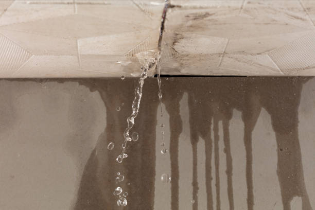 Professional Water Damage Inspection technician working in Pall Mall, TN